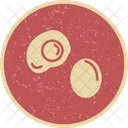 Oeuf Icon