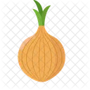 Oignon Legumes Illustration Icon