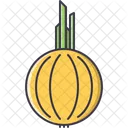 Oignon Legume Cuisson Icon