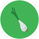 Vert Oignon Echalote Icon