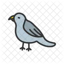 Oiseau  Icône
