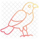 Oiseau  Icône