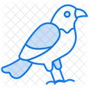 Oiseau Animal Nature Icône