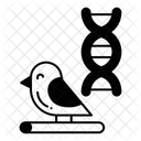  Icône