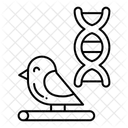  Icône