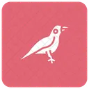 Oiseau  Icône