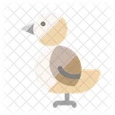 Oiseau  Icône