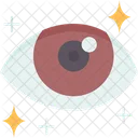 Ojo  Icono