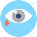 Ojo Cuerpo Organo Icon