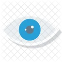 Ojo Encontrar Mirar Icon