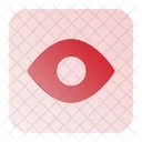 Ojo  Icono