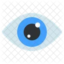 Ojo  Icono