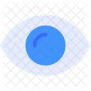 Ojo  Icono