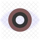 Ojo  Icono