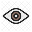 Ojo  Icono