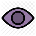 Ojo  Icono