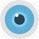 Ojo Ojo Humano Ver Icon