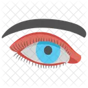 Ojo Humano Ojo Desnudo Ojo Icono