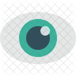 Ojo  Icono