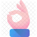 Ok Check Done Icon