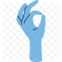 Hand Gesture Hand Gesture Icon