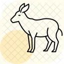 Okapis Icône