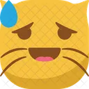 Cat Emoticon Icon