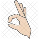 Okay Hand Lineal Color Icon Icon