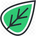 Okologie Grun Laub Symbol