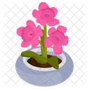 Oleander Plant  Icon