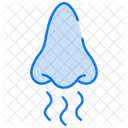Oler  Icono