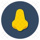 Nariz Organo Del Cuerpo Parte Del Cuerpo Icono
