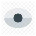 Ver Olho Interface Do Usuario Ícone