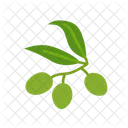 Olive Symbol