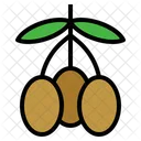 Oliven Obst Bio Symbol