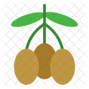 Oliven Obst Bio Symbol