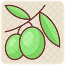 Olive Obst Ernahrung Symbol