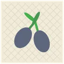 Olive Mittelmeer Lebensmittel Symbol