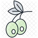 Aceituna  Icono