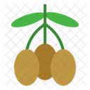 Oliva Fruta Organico Icono