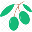 Aceituna Icono