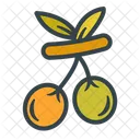 Aceituna  Icono