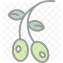 Aceituna  Icono