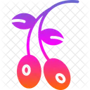 Aceituna  Icono