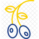 Aceituna  Icono