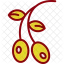 Aceituna  Icono