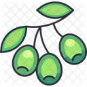 Aceituna  Icono