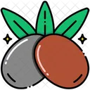 Aceituna Icono