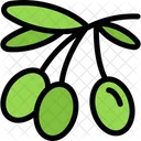 Aceituna  Icono