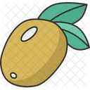 Aceite De Oliva Saludable Icono